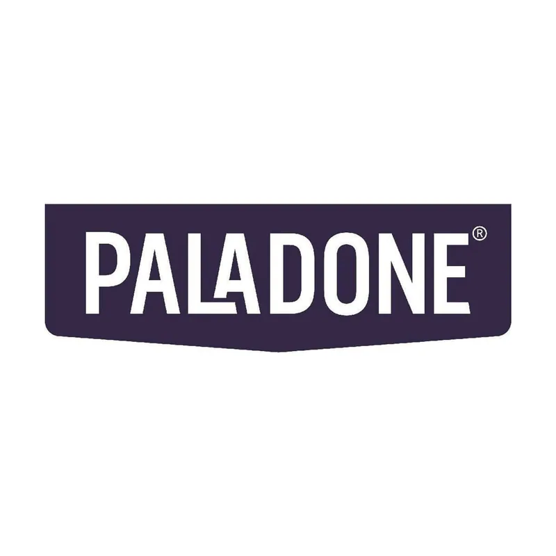 Paladone Stranger Things 5