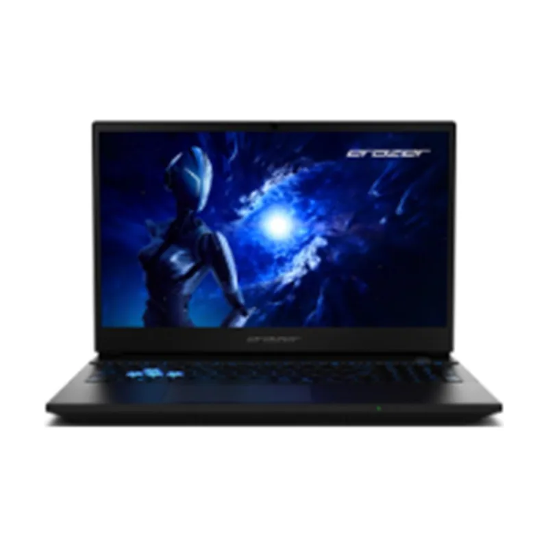 Medion erazer scout 15 e1 md62765 i5