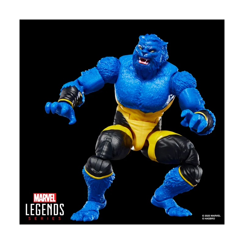 Hasbro Marvel Legends Series