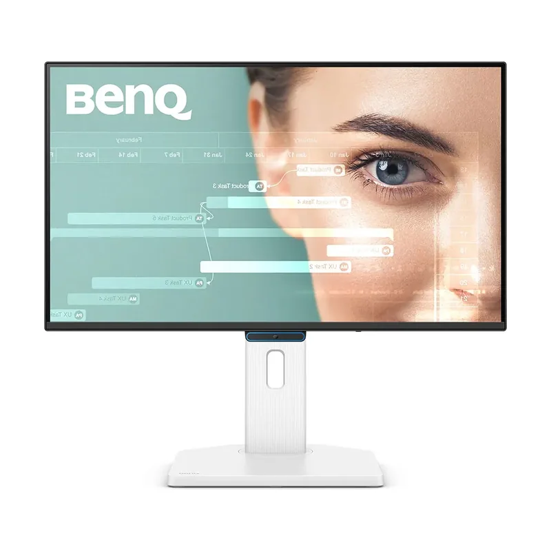 BenQ Monitor GW2490TC