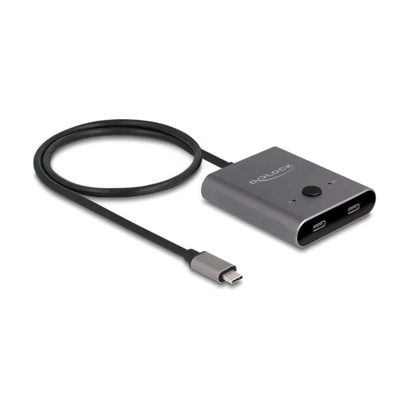Delock USB 10 Gbps USB Type-C Switch 2 a 1 bidireccional