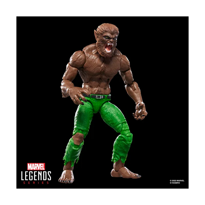 Hasbro Marvel Legends Series