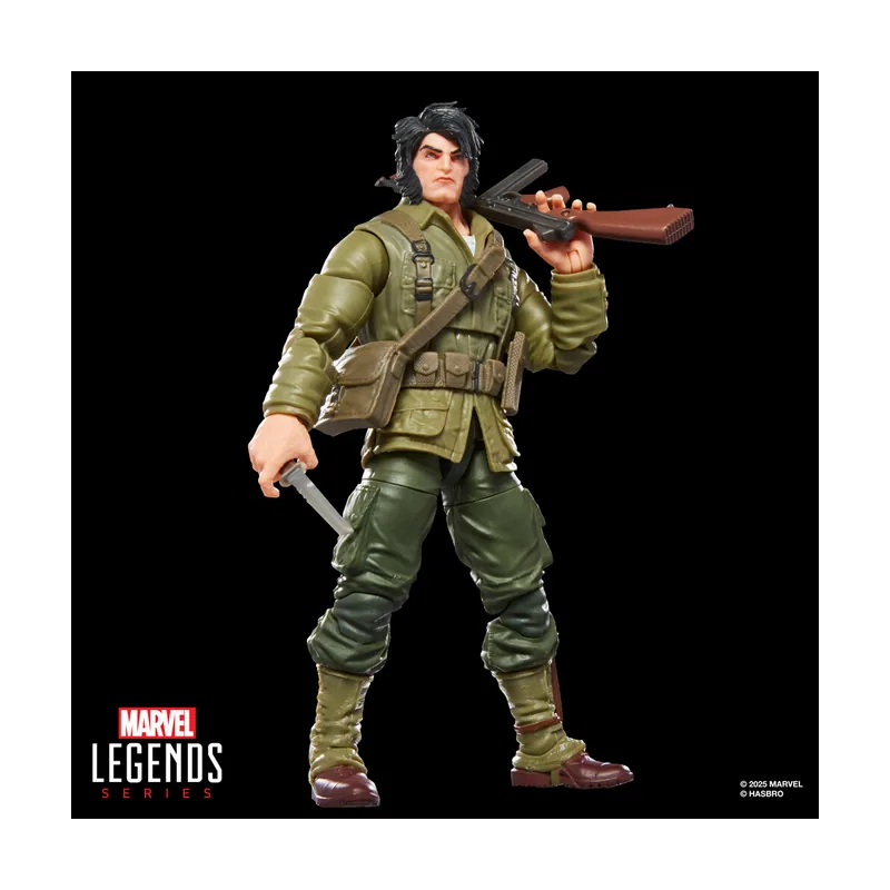 Hasbro Marvel Legends Series