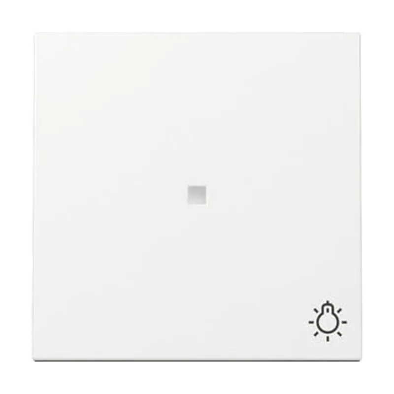 Gira 367403 wippe kontrollf. + symb. licht system 55 reinweiß