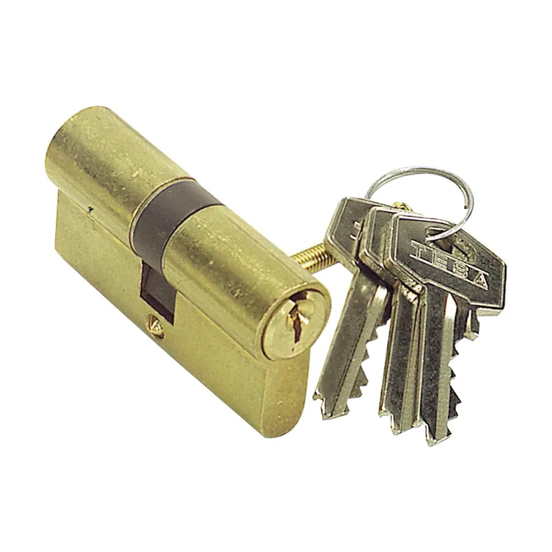 Tesa 50303030L Cilindro TE5