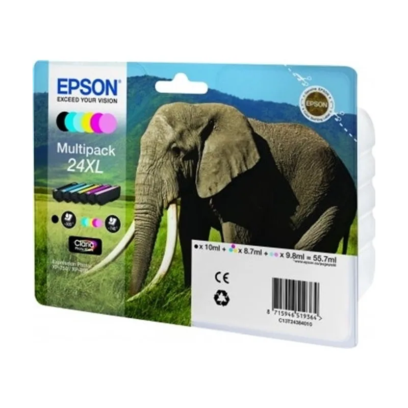 Epson C13T24384010
