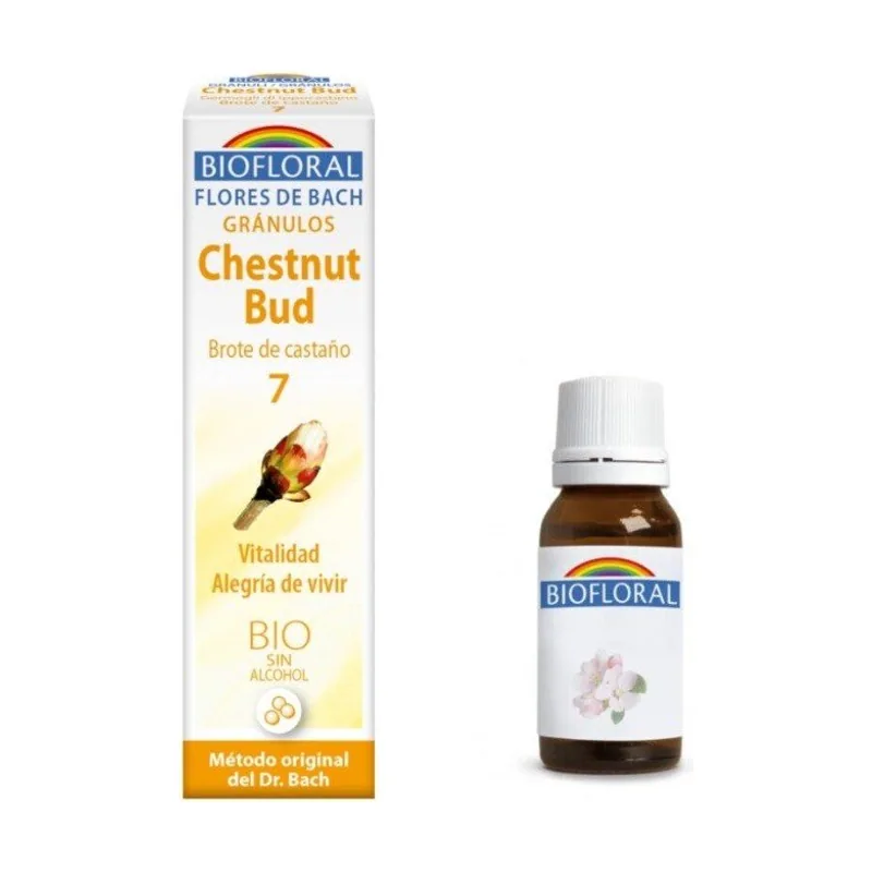 Biofloral Chestnut Bud