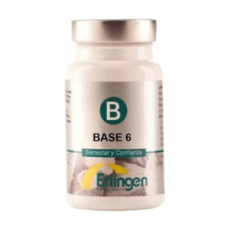Erlingen Base 6 60 Comprimidos