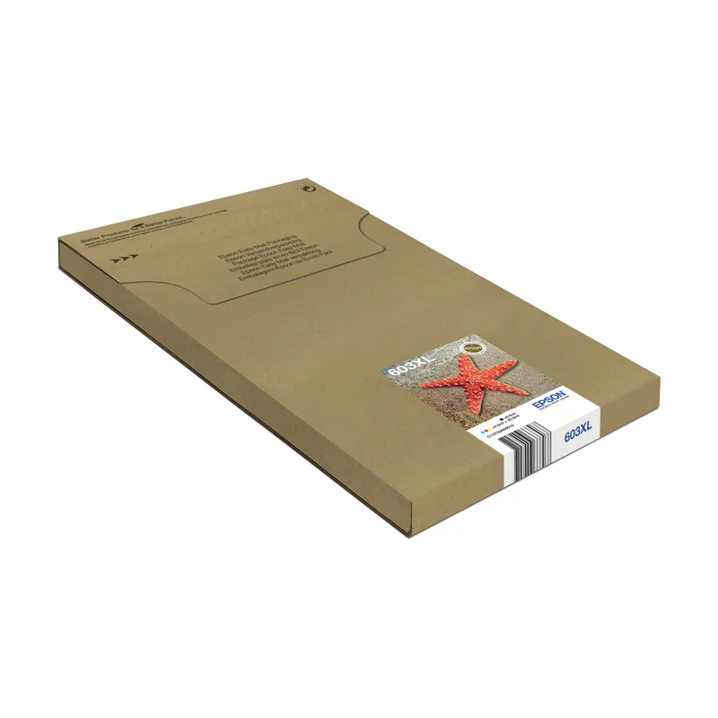 Epson Multipack 4-colours 603XL EasyMail