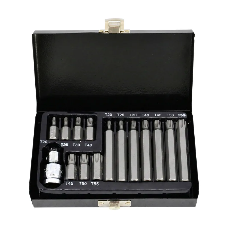 Awtools Juego de Puntas Torx 15 piezas con agujero
