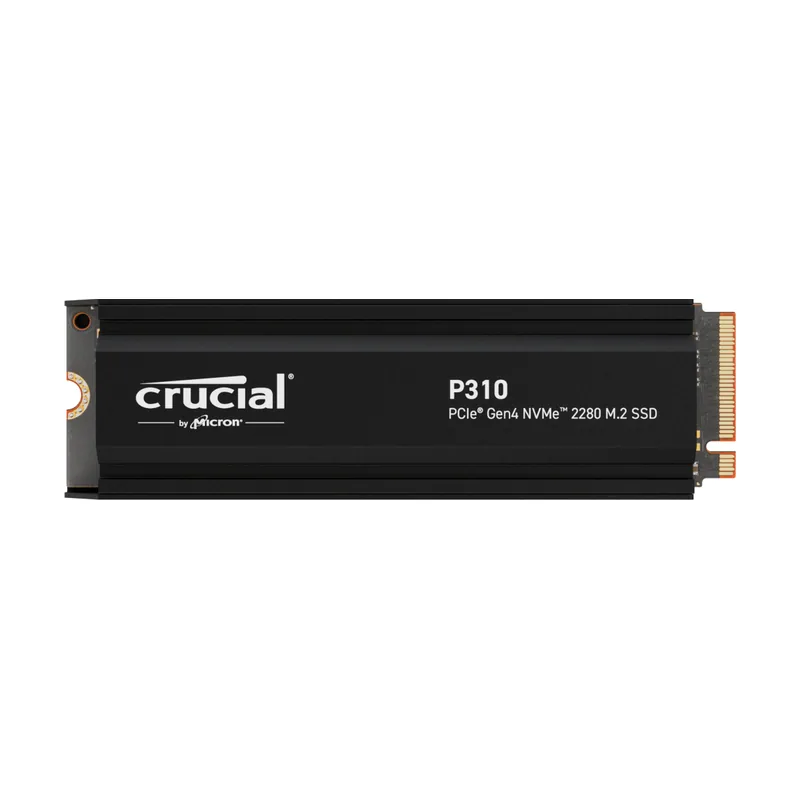 Crucial P310