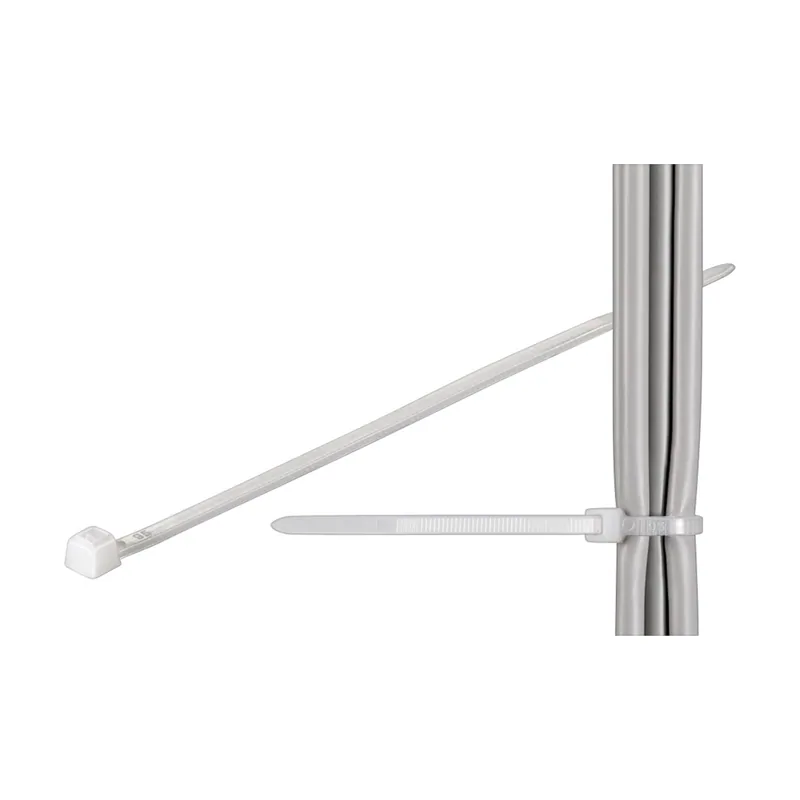 GooBay 17066 presilla Nylon Transparente 100 pieza s