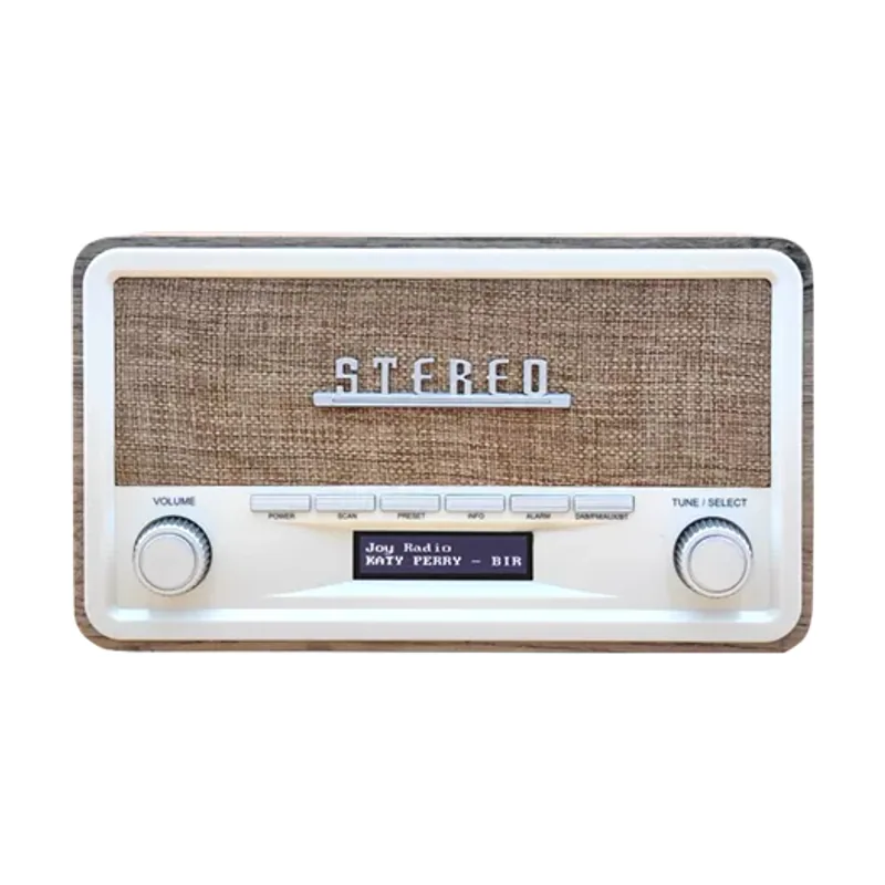 Radio Dab+ Bluetooth con FM