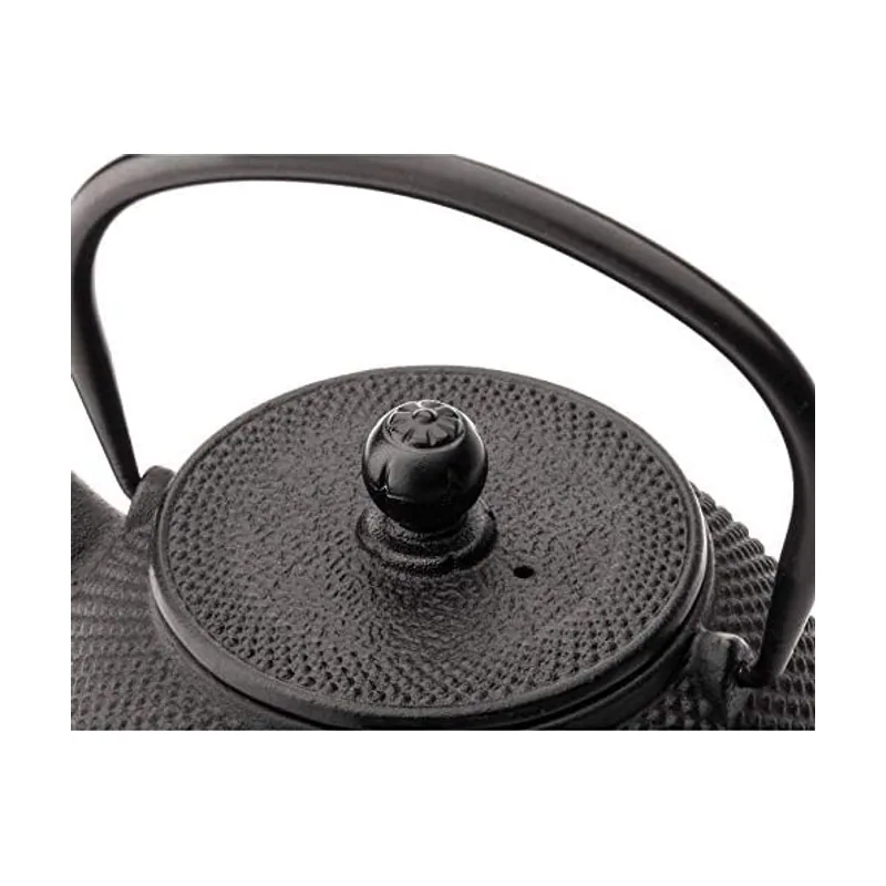 Bredemeijer Tetera de hierro fundido negro 0.8 litros Jang con filtro