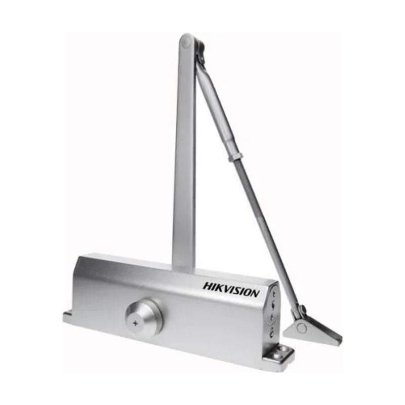 Hikvision Ip 2m mobile minidome camera