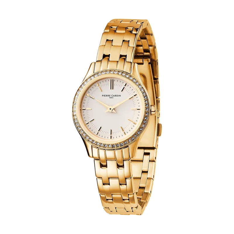 Pierre cardin Reloj Mujer Analogico Cuarzo con Correa de Acero Inoxidable CF.0607.SE.G