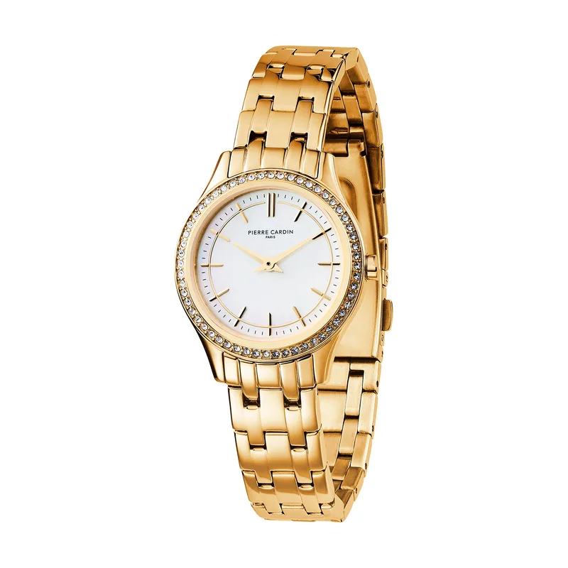 Pierre cardin Reloj Mujer Analogico Cuarzo con Correa de Acero Inoxidable CF.0611.SE.G