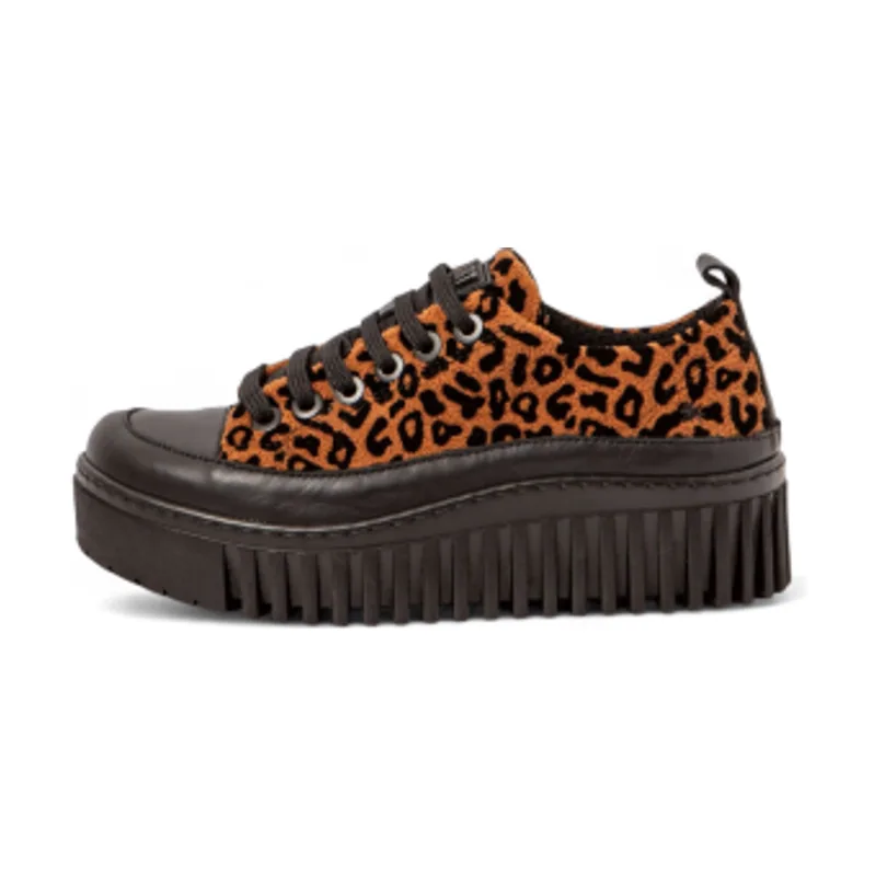 Art Zapatillas 1518S Brighton 11518S1FC003_ESP