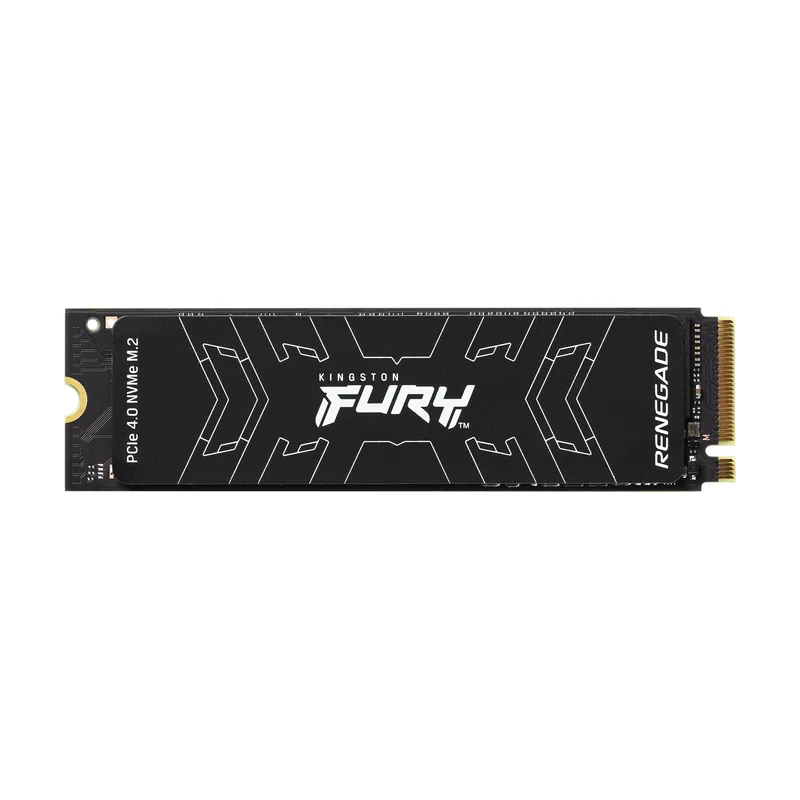 Kingston FURY Renegade