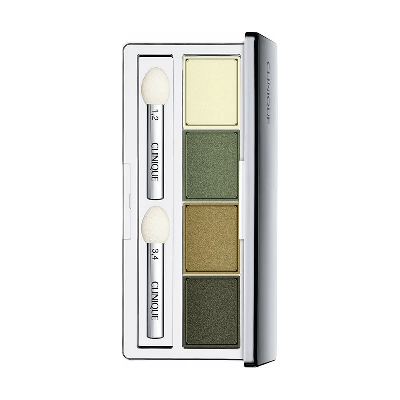 Clinique ALL ABOUT SHADOW quad #05-on safari