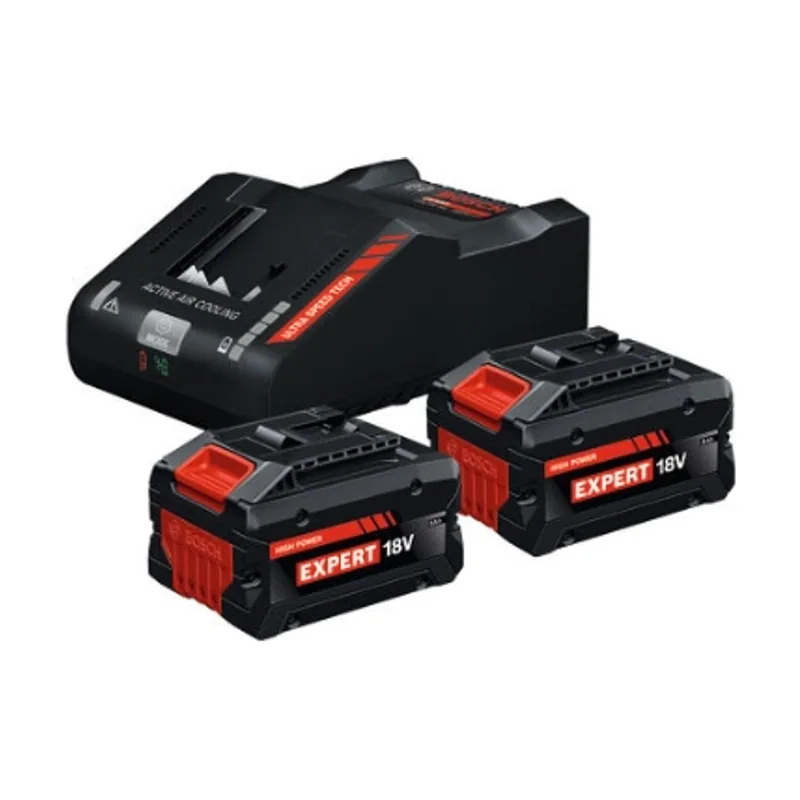 Bosch Starter-Set 2x EXBA18V-80 EXAL18V-160