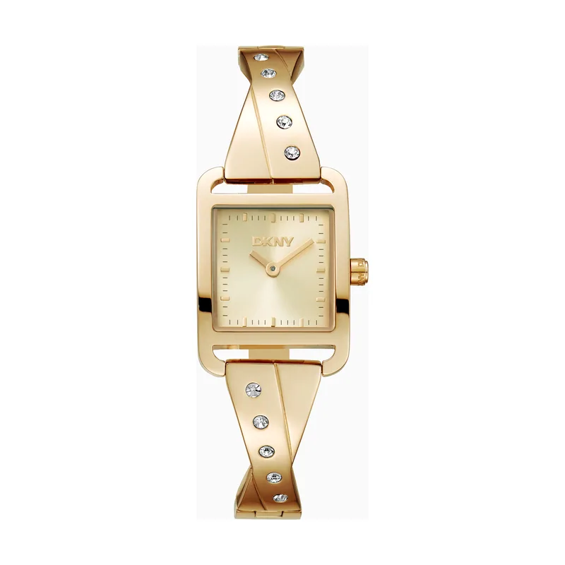 Dkny DK1L005M0025 correa