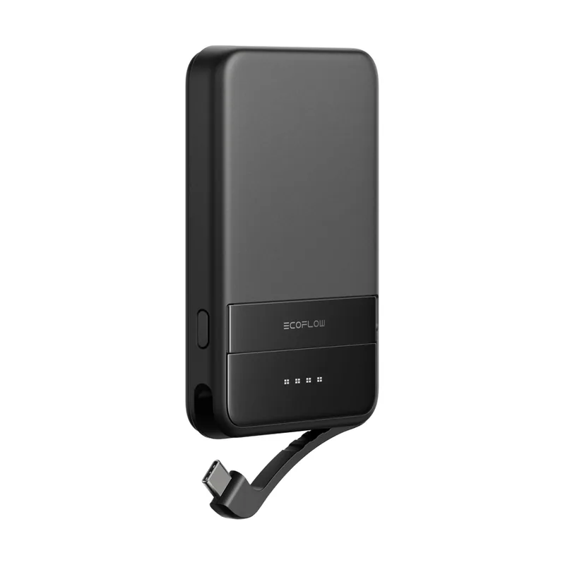 Ecoflow RAPID Ión de litio 5000 mAh Cargador