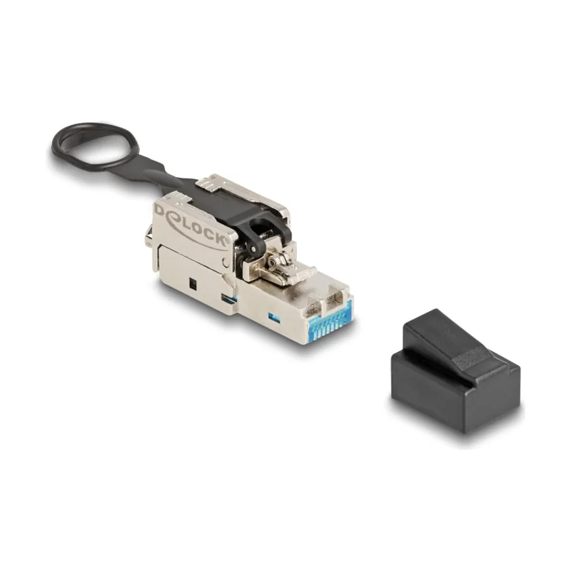 Delock Conjunto de campo macho RJ45 Cat.6A con pestillo de empuje y tracción sin herramientas