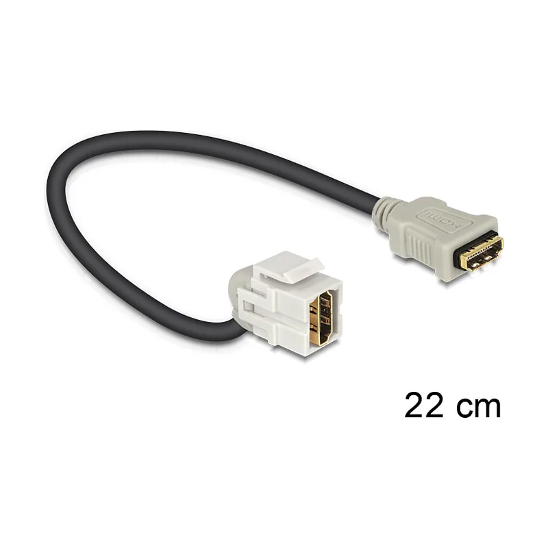 HDMI