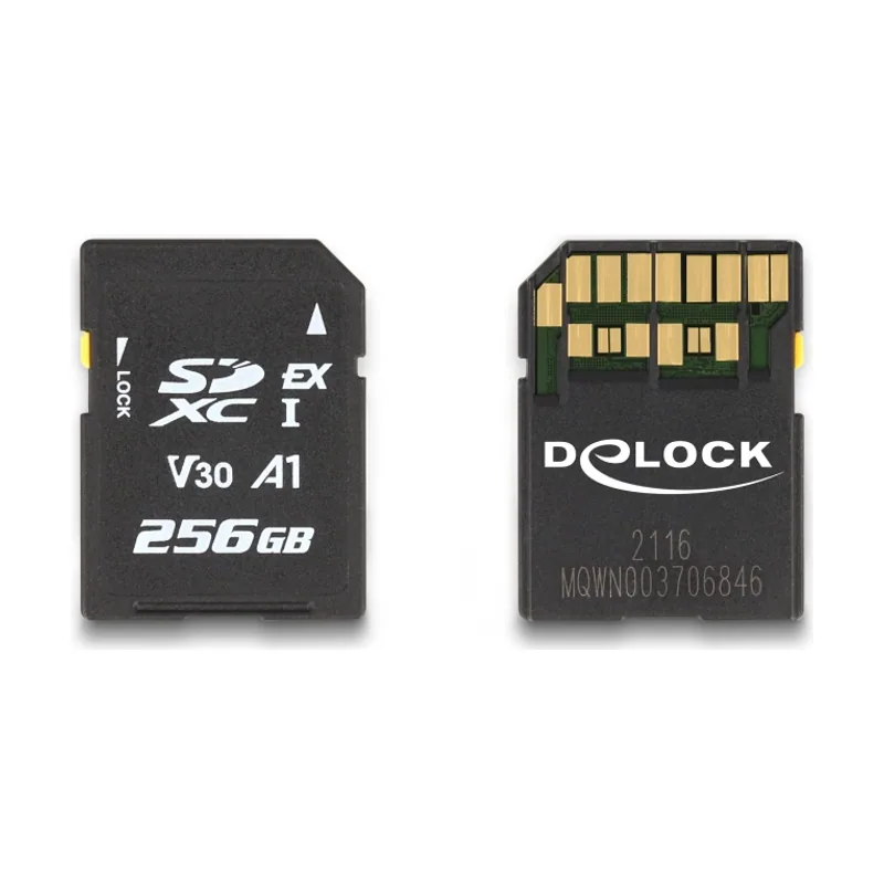 Delock Tarjeta de memoria SD Express 256 GB