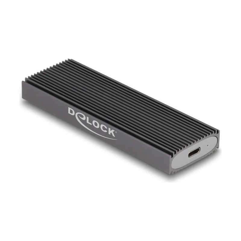 Delock Externo USB Type-C Caja Combo para M.2