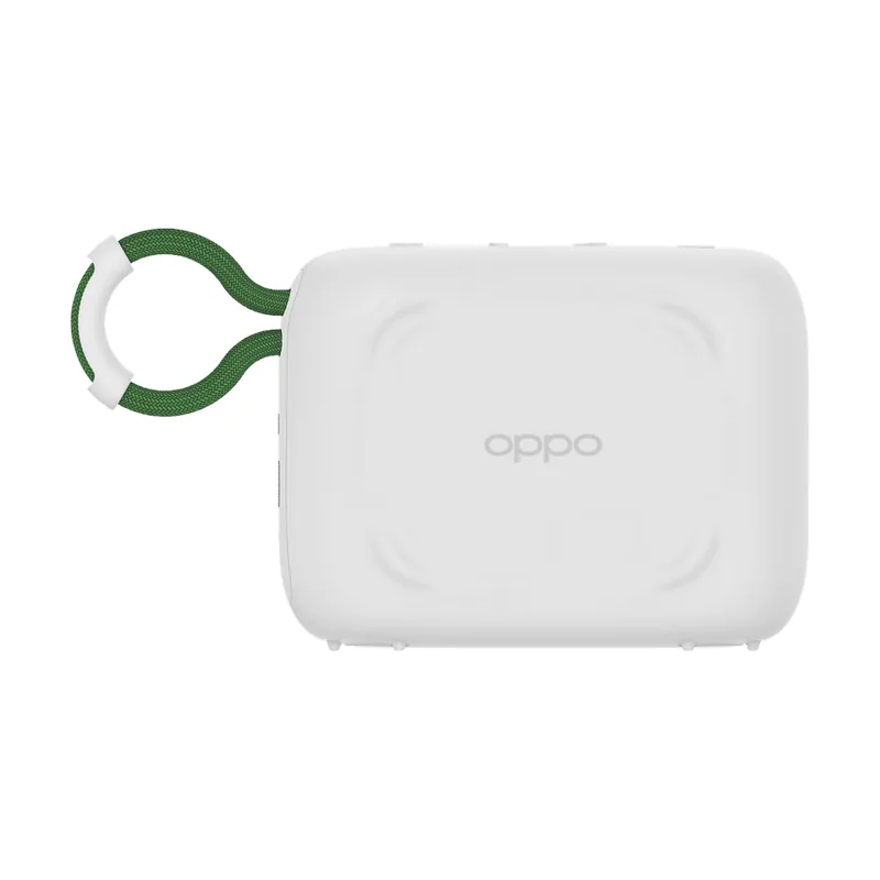 Portable wireless speaker
