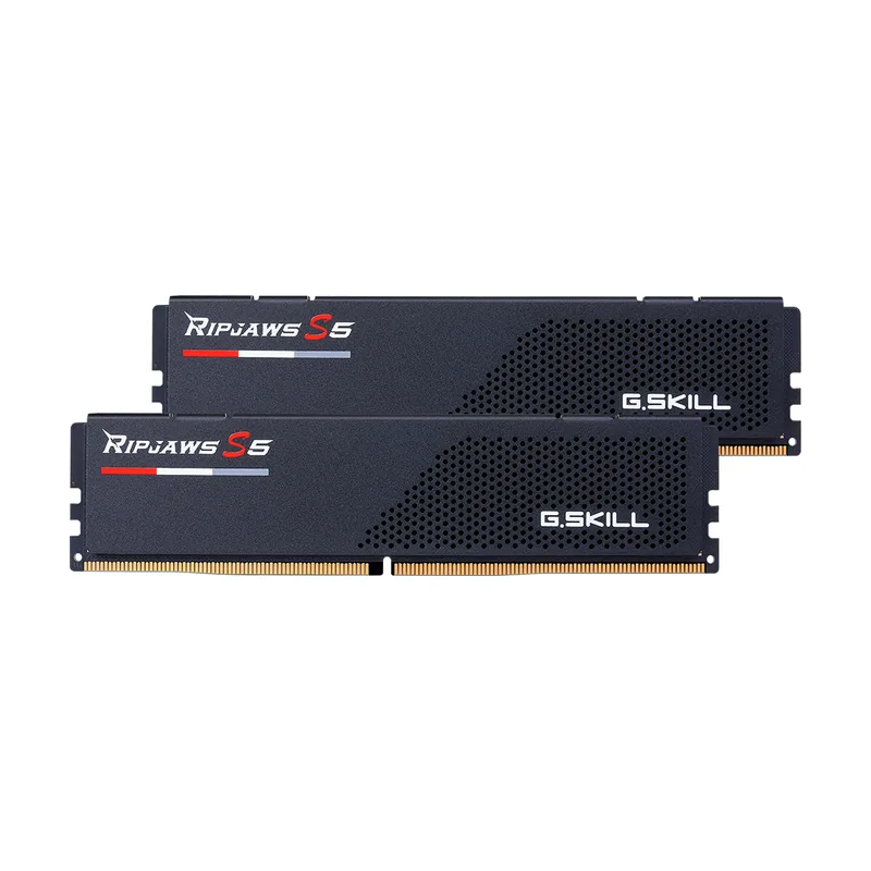 F5-6000J2836G32GX2-RS5K módulo