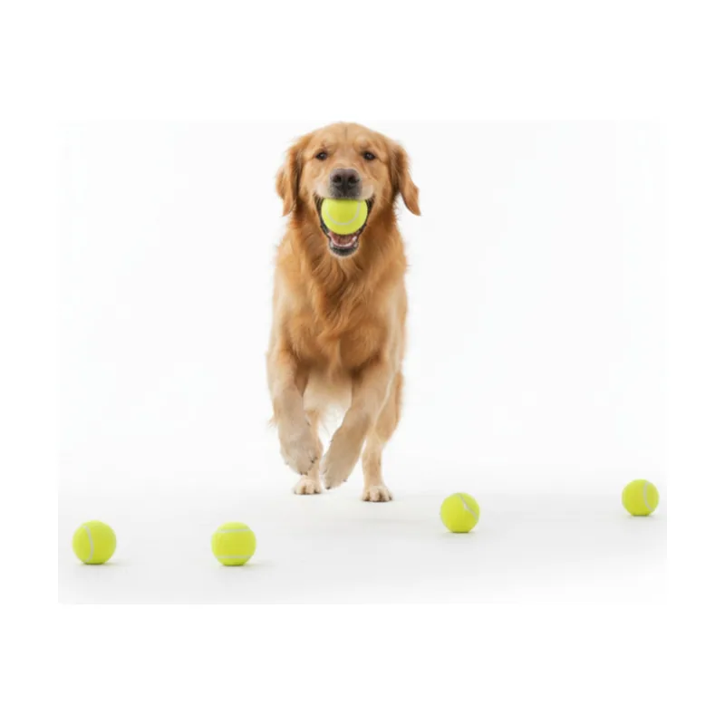 All For Paws Pelotas de Tenis Interactivas para perros