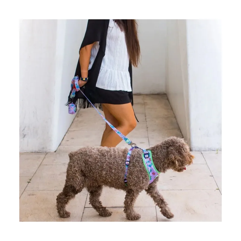 Dukier Correa Estampado Alien para perros