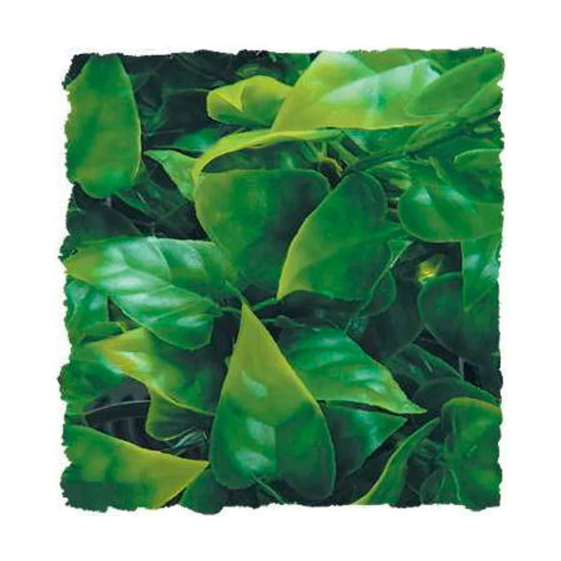 Zoo Med Nayeco ZooMed Planta Artificial Phyllo Mexicano para terrarios