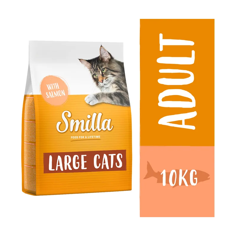 Adult Gatos XXL con salmón