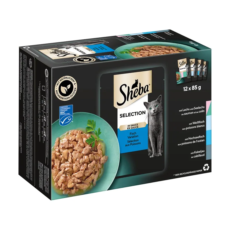 Multirreceta 24 x 85 g en sobres