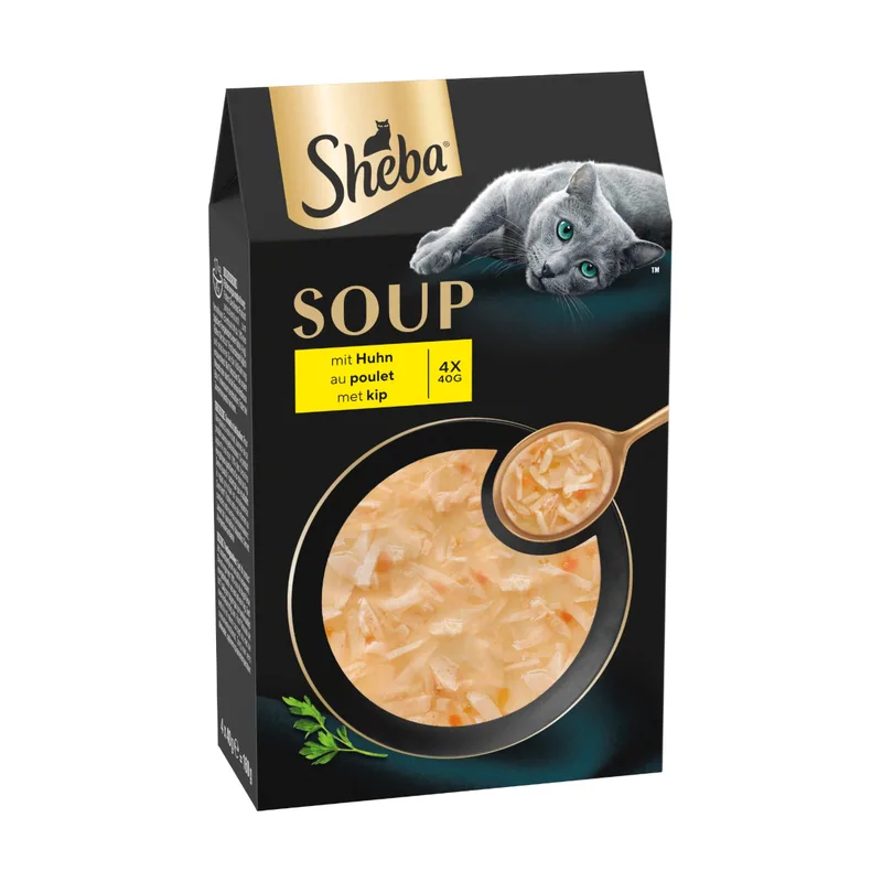 Classic Soup 40 x 40 g