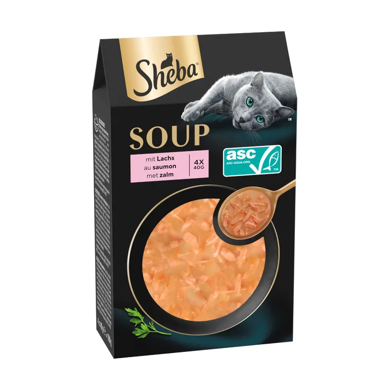 Classic Soup 40 x 40 g