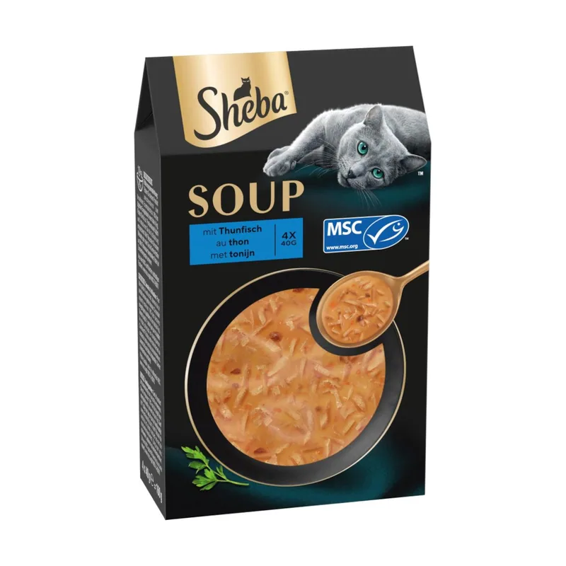 Classic Soup 40 x 40 g