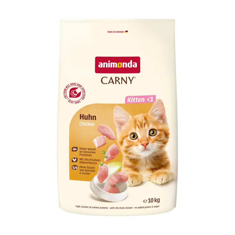 Kitten con pollo pienso para gatitos