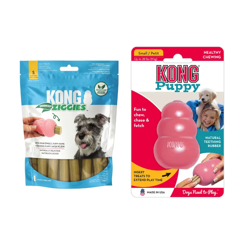 Kong Puppy juguete para cachorros