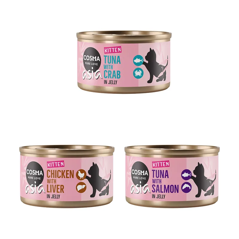 Asia Kitten en gelatina 24 x 85 g