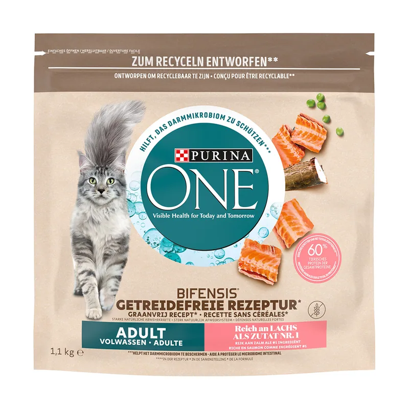 ONE Grain Free Adulto salmón