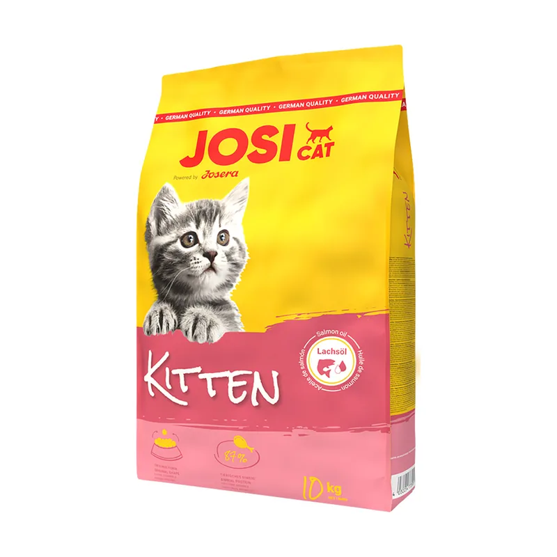 Kitten con ave pienso para gatitos