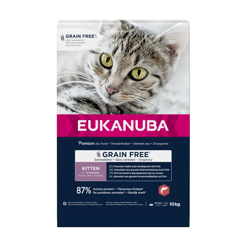 Kitten Grain Free Rico en Salmón
