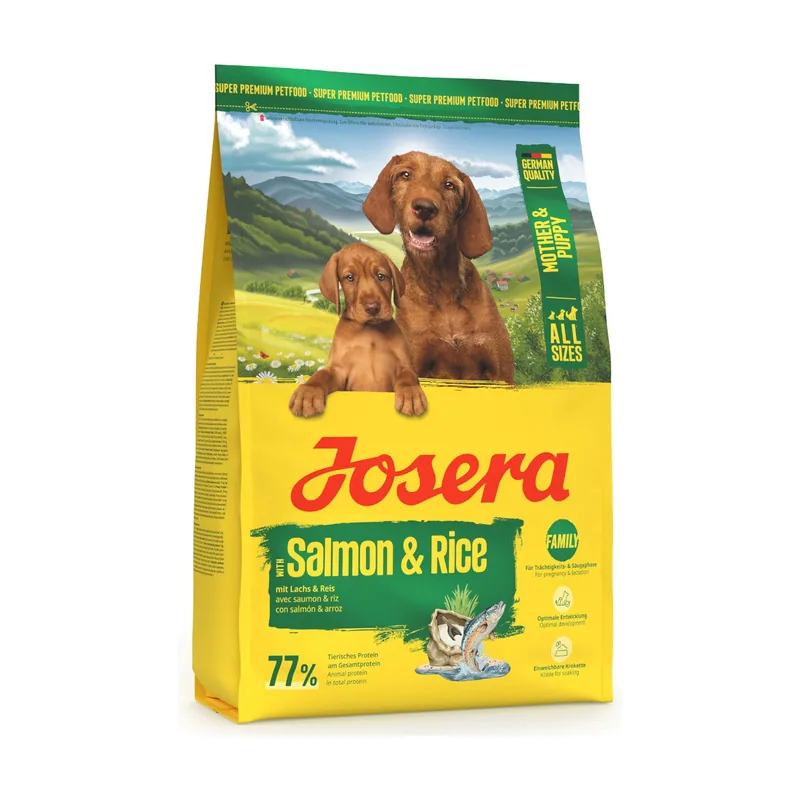 Mother & Puppy con salmón y arroz
