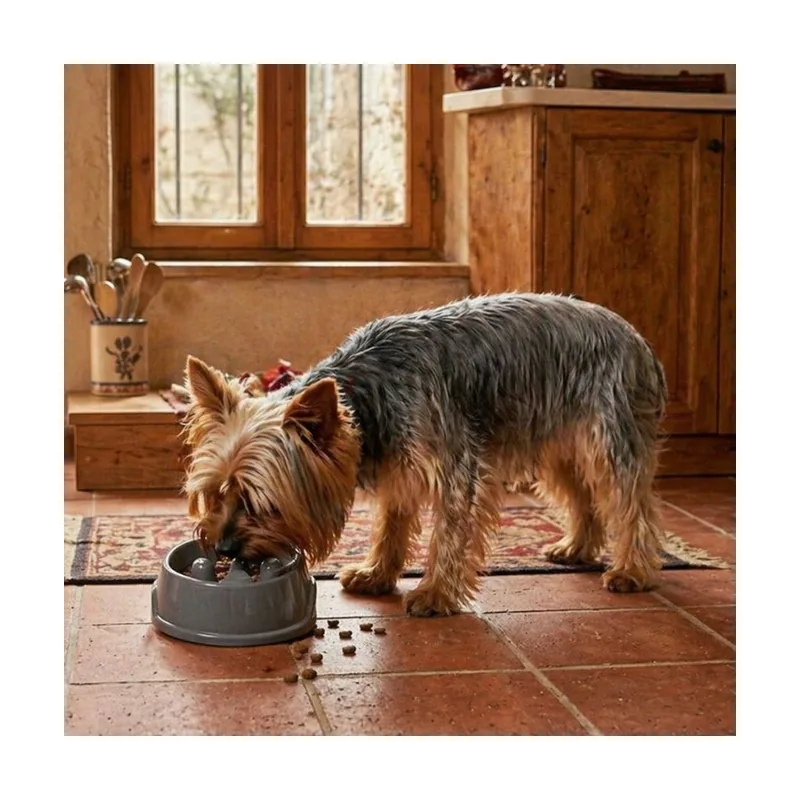 Leeby Comedero Antivoracidad Azul con Relieve de Huella para perros