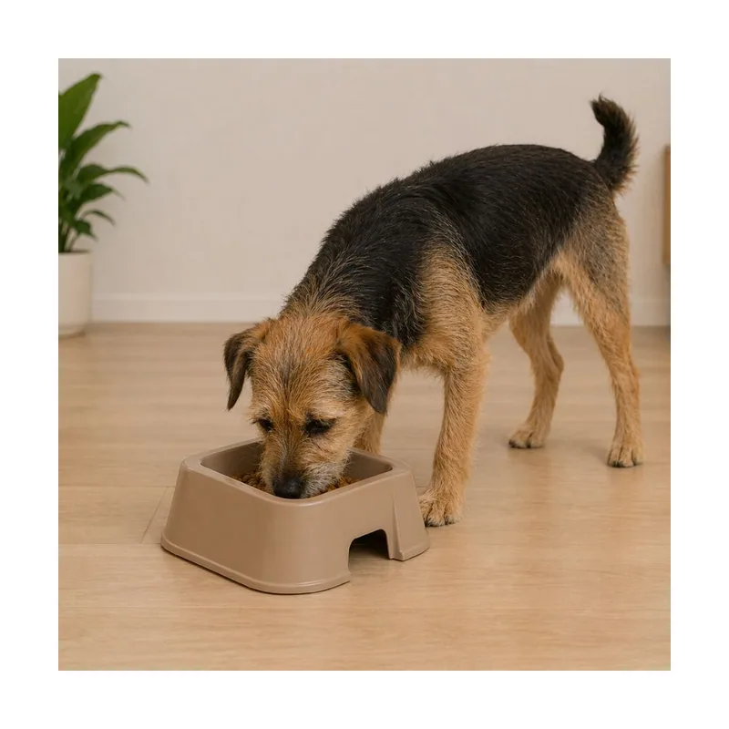 Leeby Comedero Cuadrado Taupe para perros